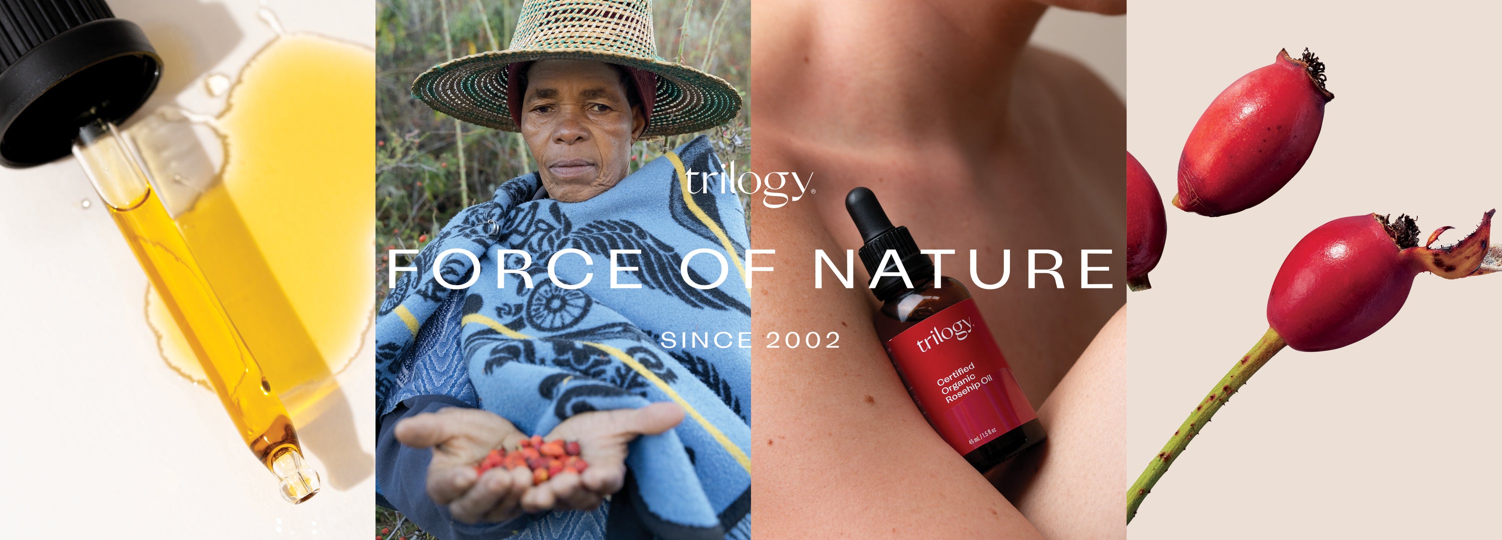 Trilogy Force of Nature Since 2002